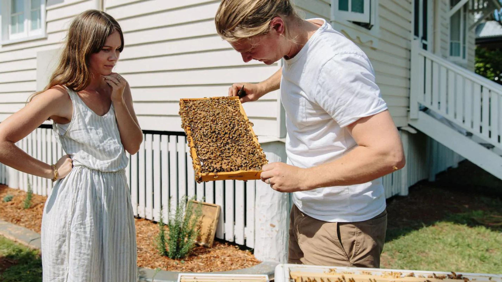 How to Get Started with Beekeeping