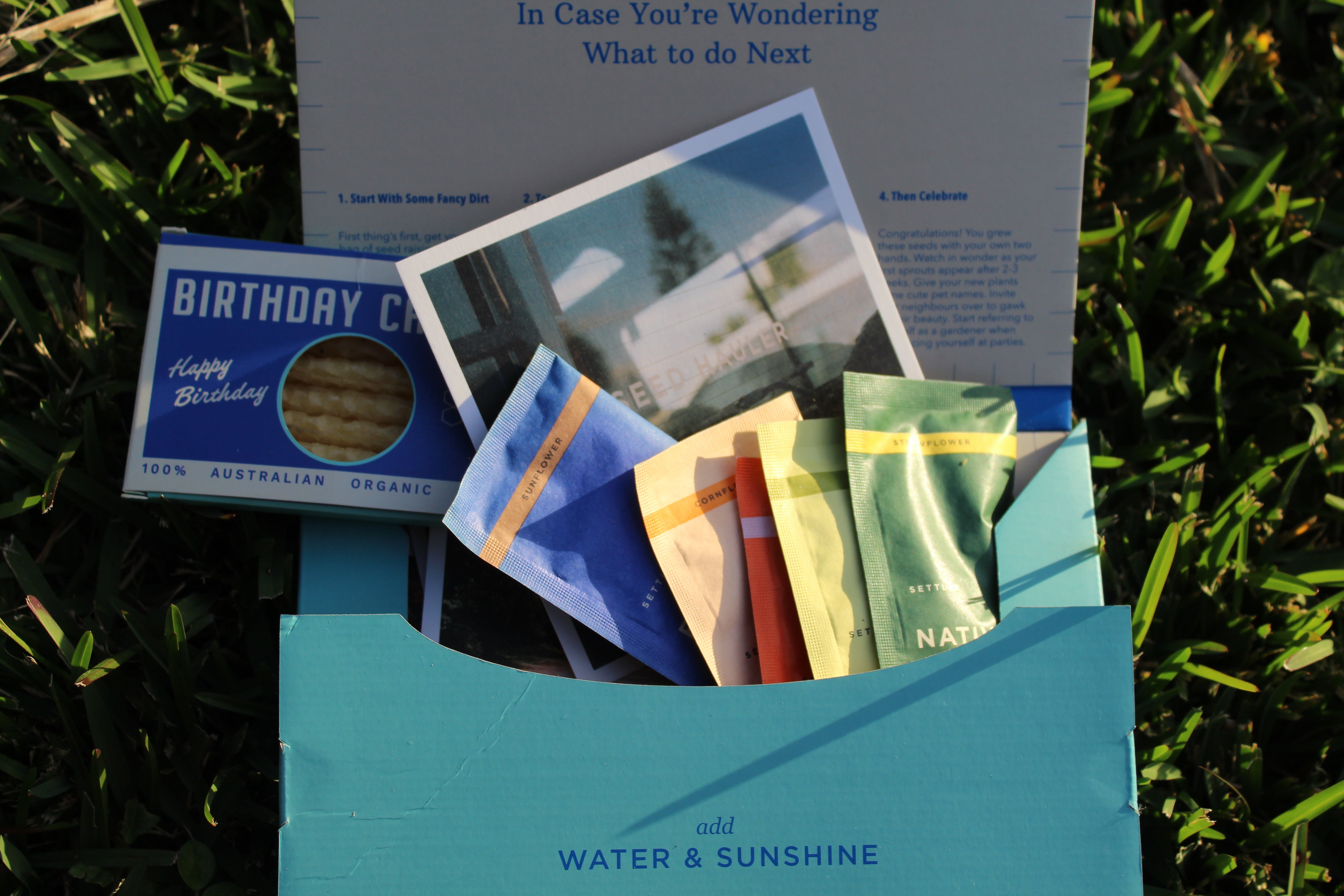 New: A Bouquet of Flowers