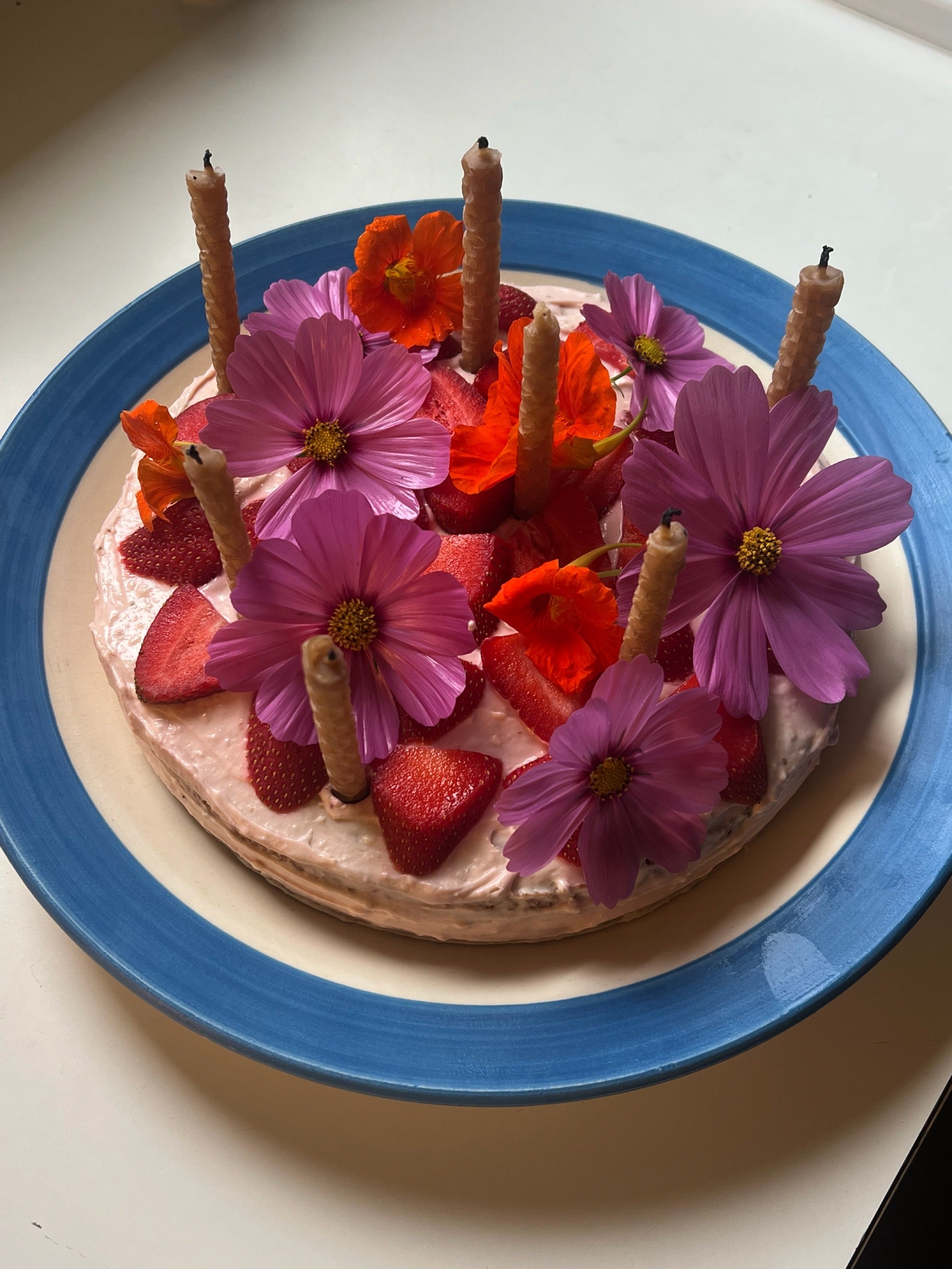 Organic Beeswax Birthday Candles