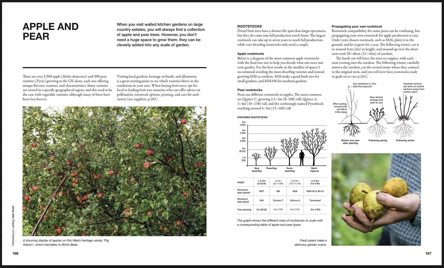 The Permaculture Garden; A Practical Approach to Year-round Harvests
