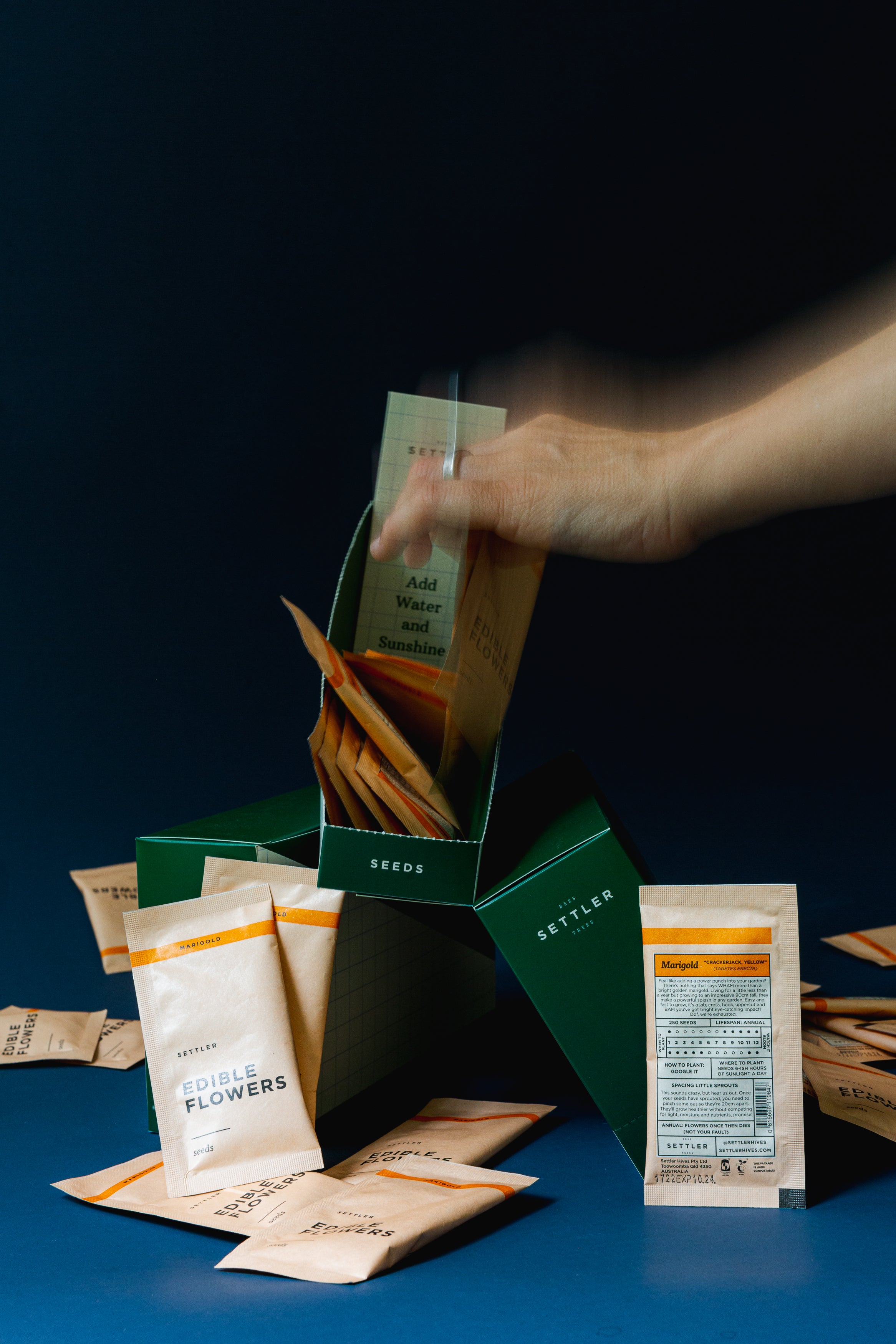 Bulk Seed Packets | Marigold