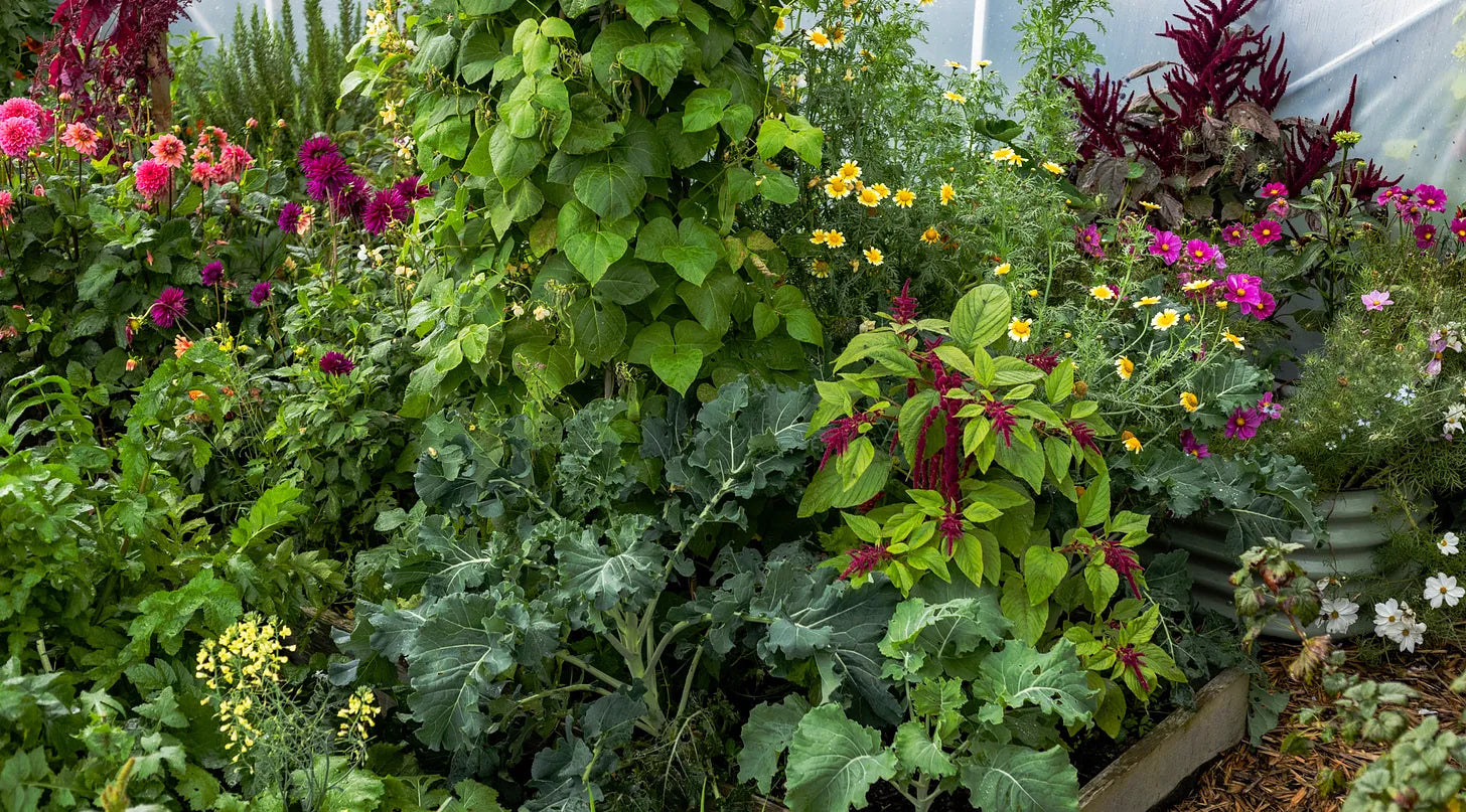 The Permaculture Garden; A Practical Approach to Year-round Harvests