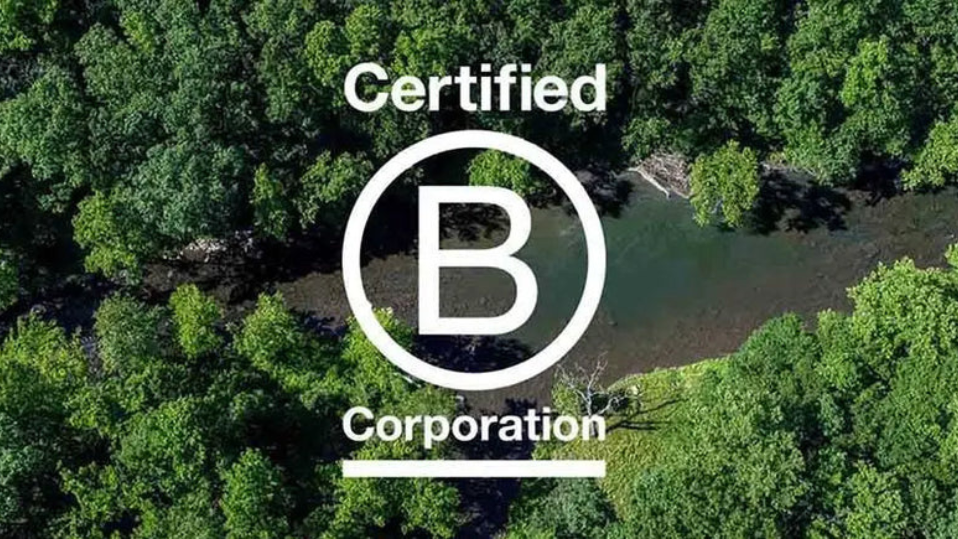 Our journey to becoming a B Corp