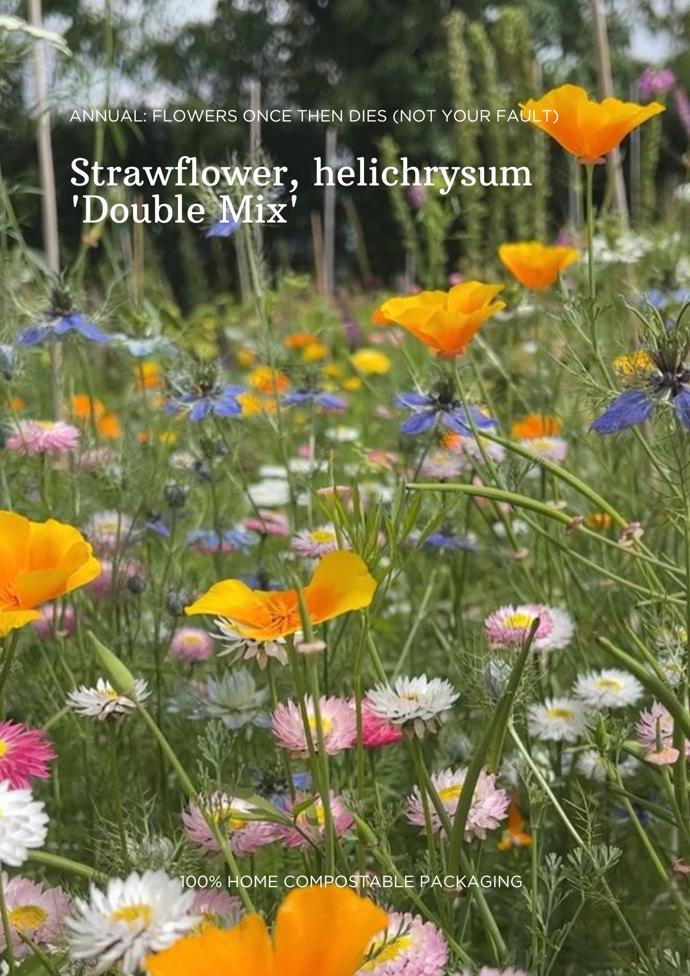 Bulk Seed Packets | Zinnia, Cornflowers & Strawflower